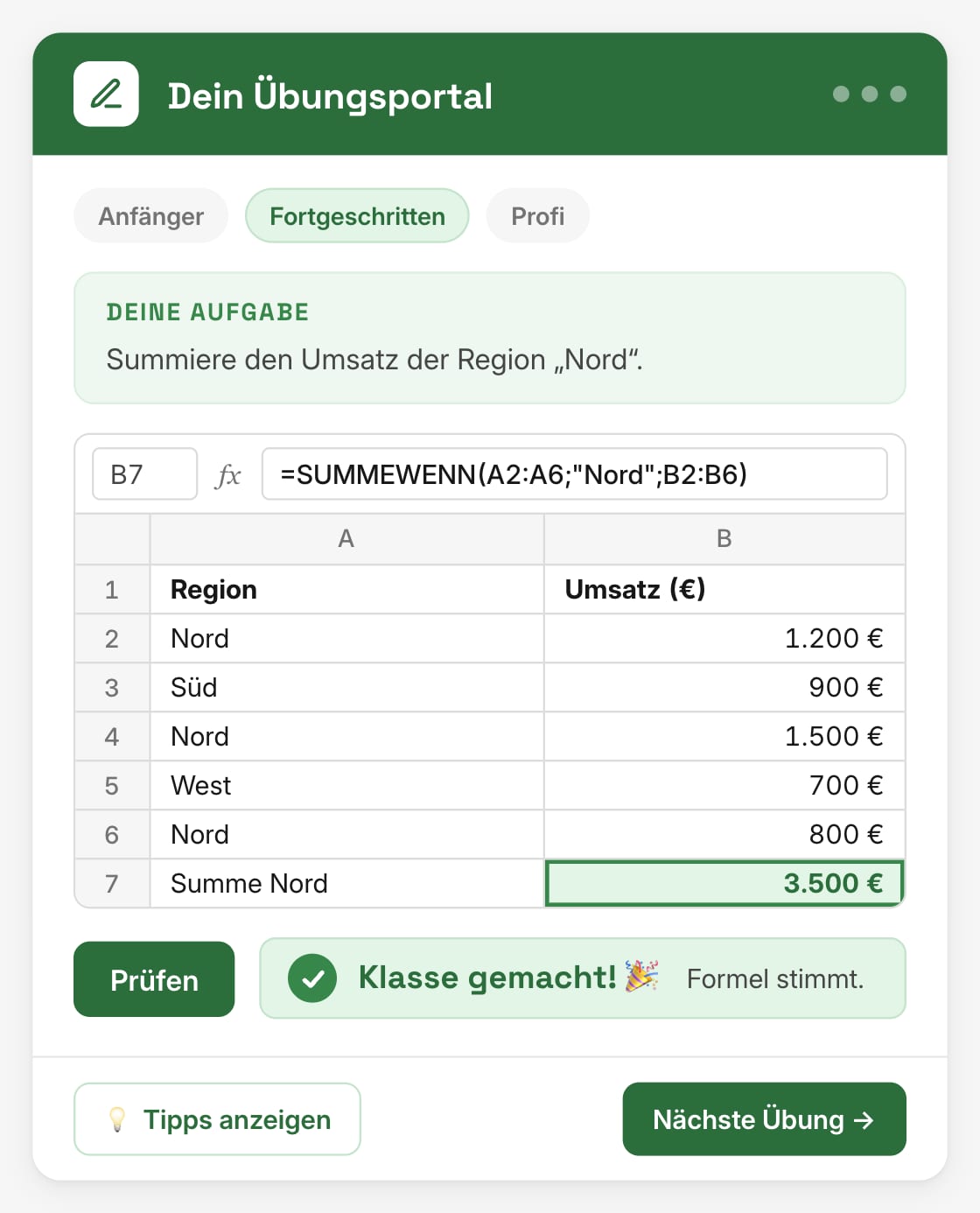 Übungsportal: SUMMEWENN-Aufgabe mit richtig gelöster Formel, die Ergebniszelle ist grün markiert